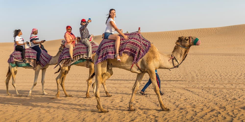 Image of Camel Ride