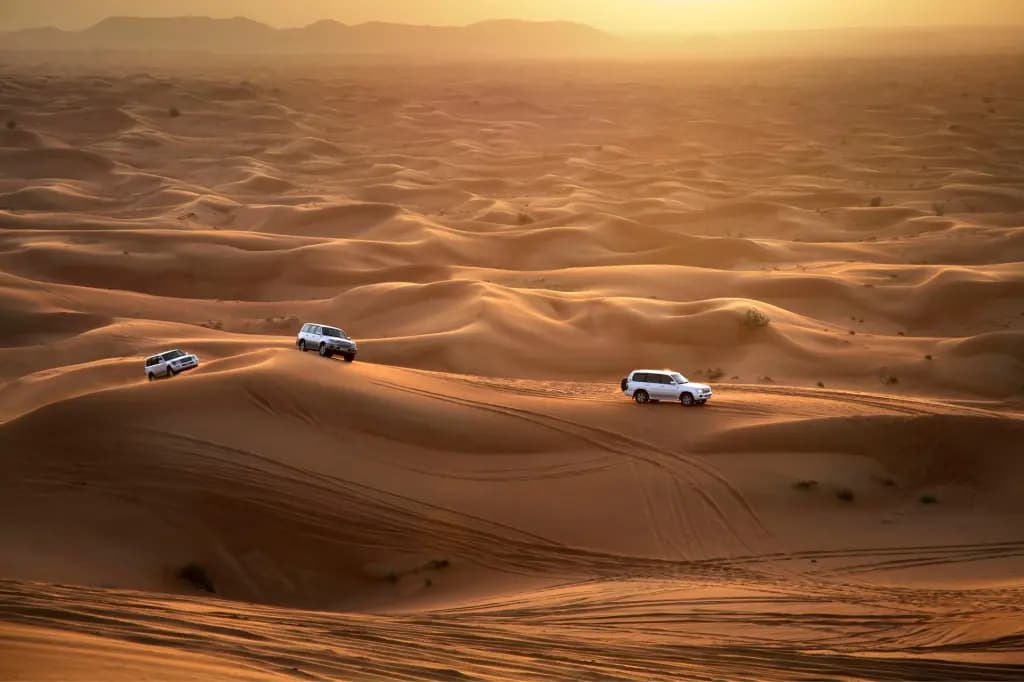 Image of Morning Desert Safari